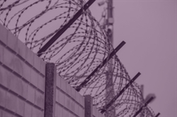 [ai] Close-up of a barbed wire fence topped with metal posts, set against a muted purple background.